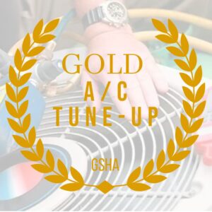 GOLD A/C Tune-Up