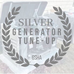 SILVER Generator Tune-Up