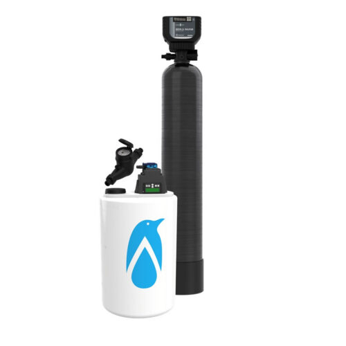Penguin Water Advanced Oxidation Iron & Sulfur Removal System
